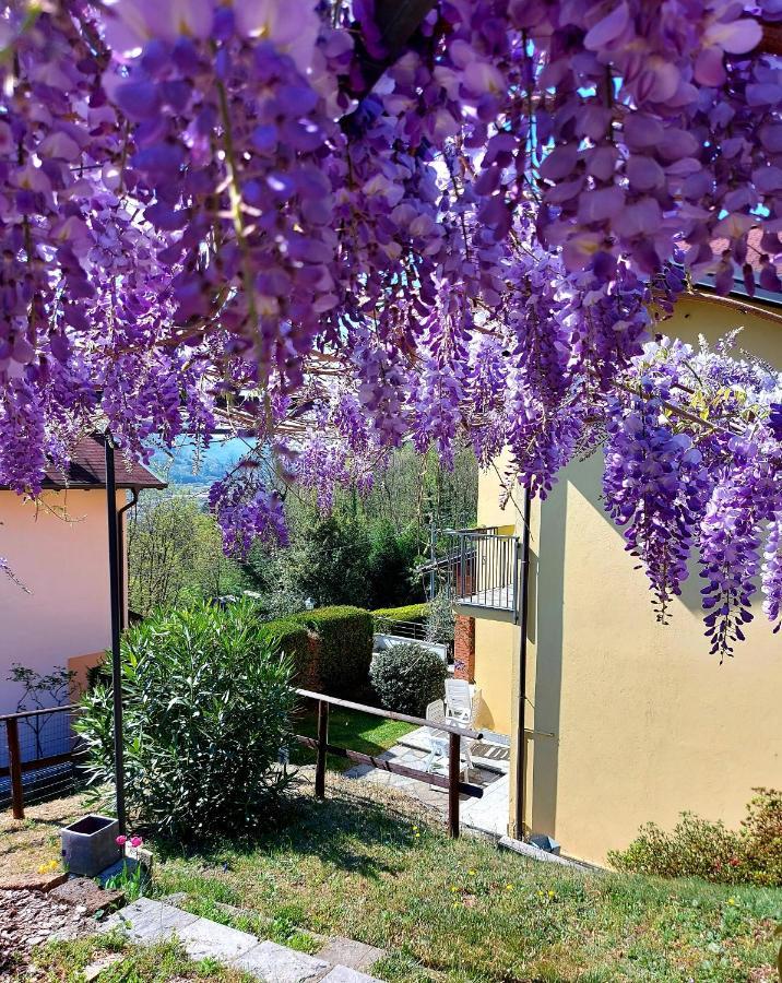 Casa Vacanza Il Glicine Casale Corte Cerro エクステリア 写真